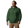 alarming.com Heritage Hoodie - 2XL, Forest Green