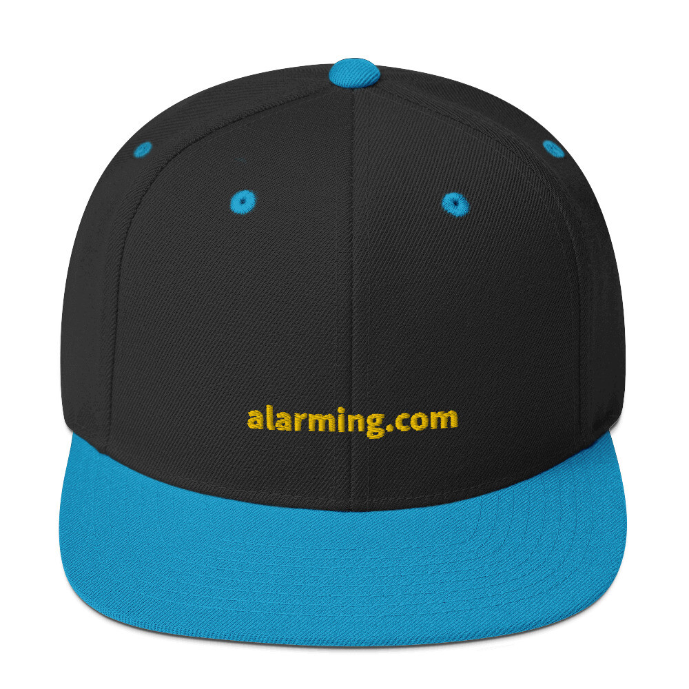 alarming.com Snapback Cap - Black/ Teal