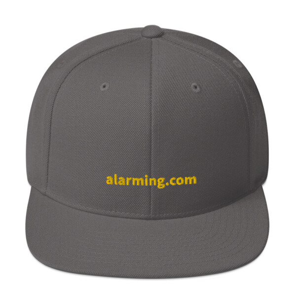 alarming.com Snapback Cap - Dark Grey