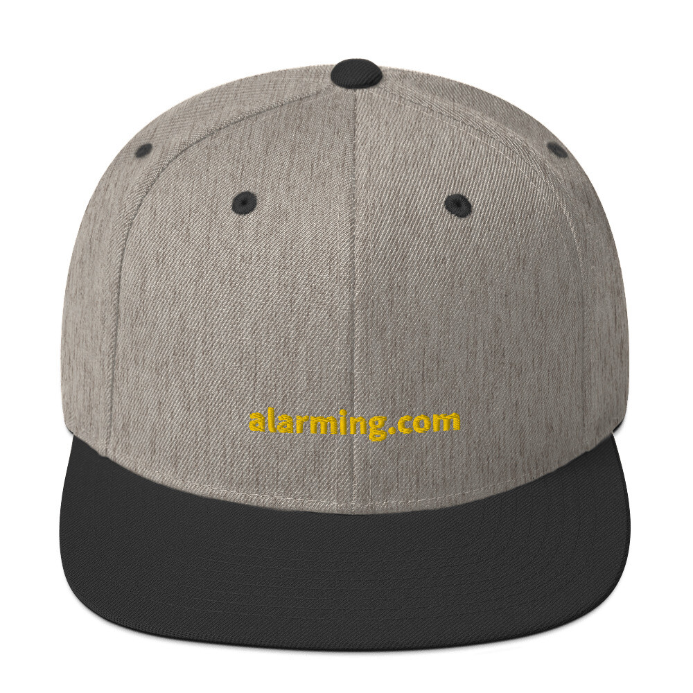 alarming.com Snapback Cap - Heather/Black