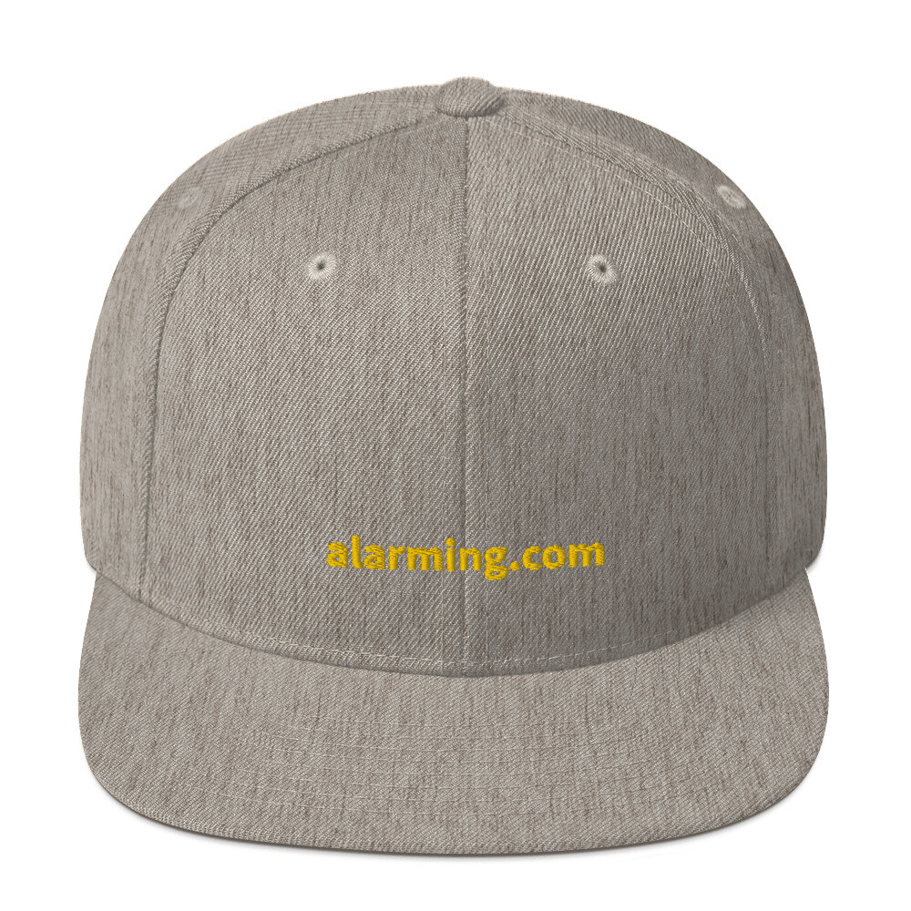 alarming.com Snapback Cap - Heather Grey