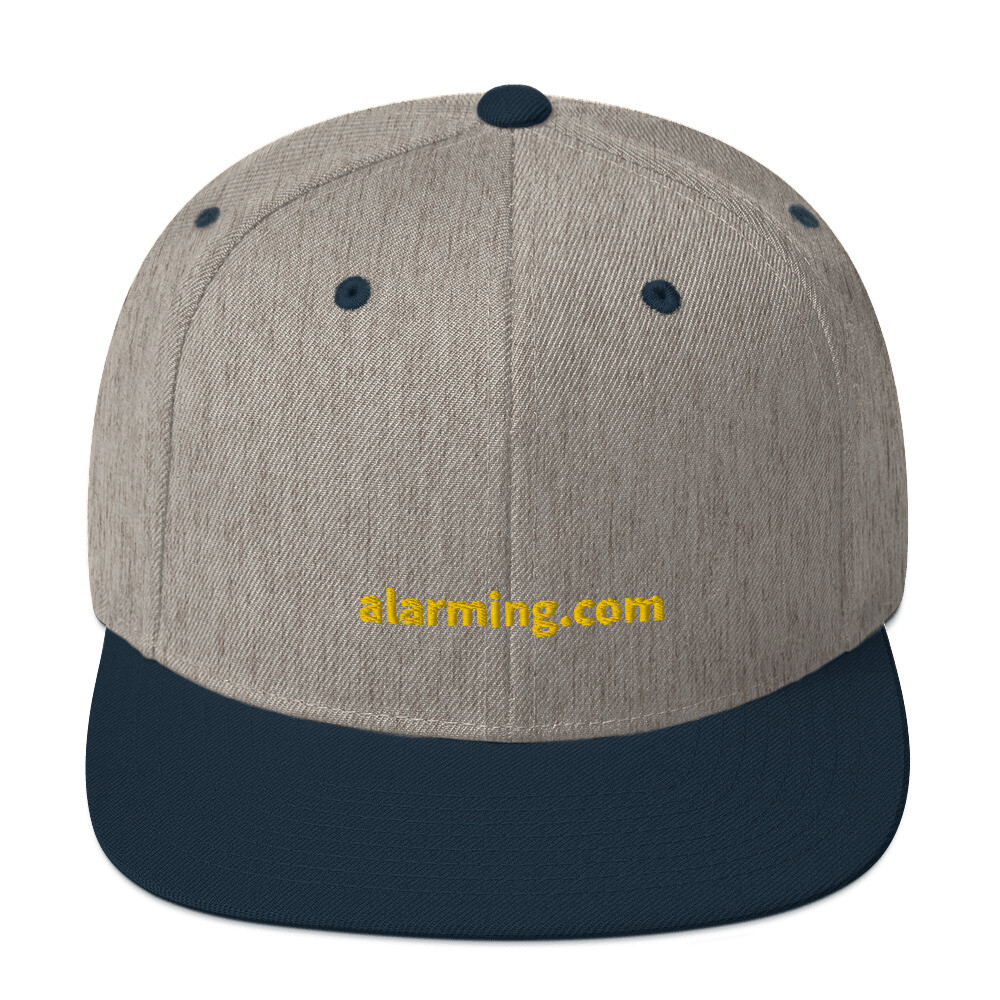 alarming.com Snapback Cap - Heather Grey/ Navy