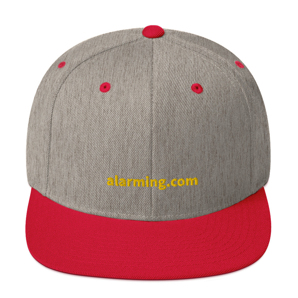 alarming.com Snapback Cap - Heather Grey/ Red