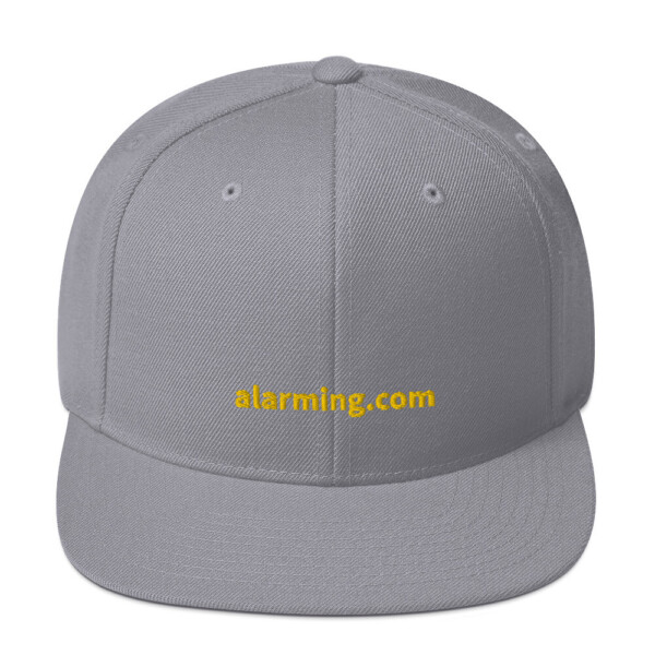 alarming.com Snapback Cap - Silver