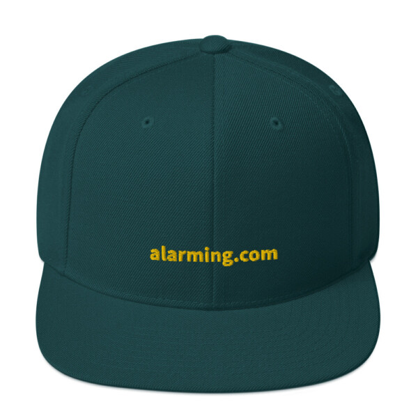alarming.com Snapback Cap - Spruce